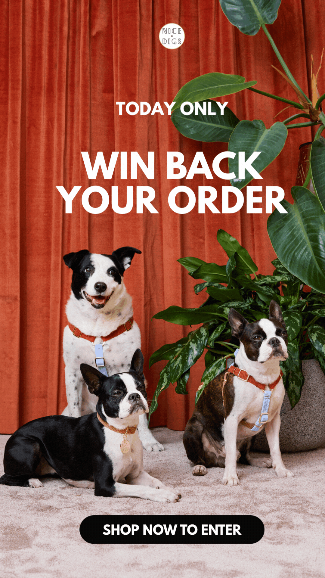 win back your order 